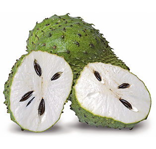 banner guanabana